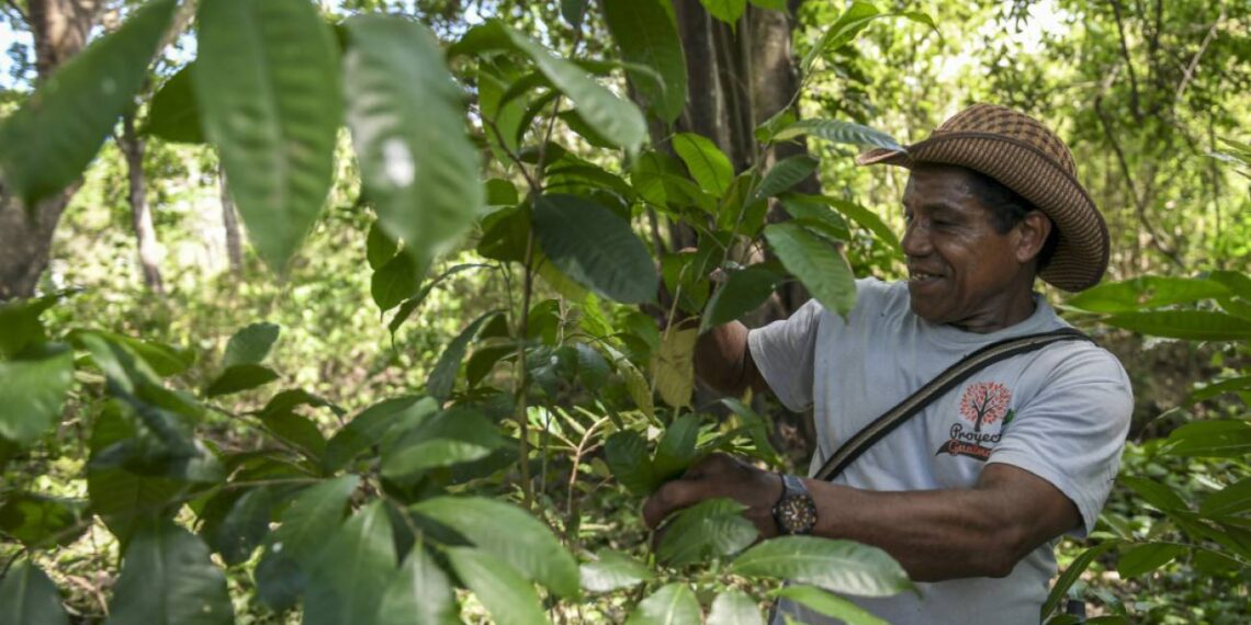 Gobernación de La Guajira otorga créditos a productores agropecuarios