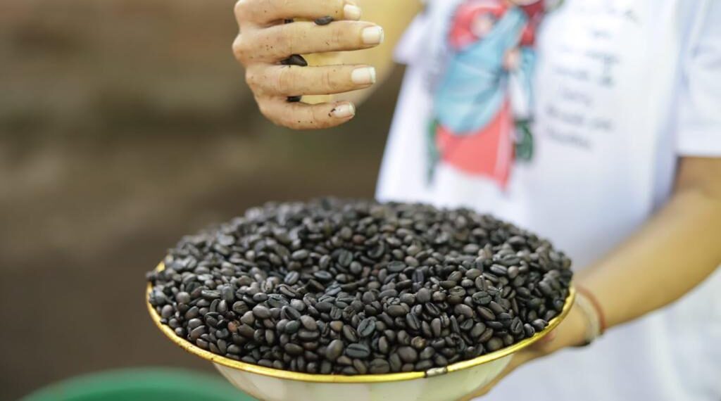 Proyecto beneficiará a más de 450 familias caficultoras de La Guajira