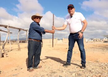 ¿Quién es el candidato? | Pello Solano