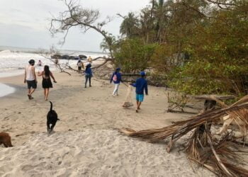 Proyecto Riviera espera aprovechar 100 toneladas de residuos sólidos en Palomino