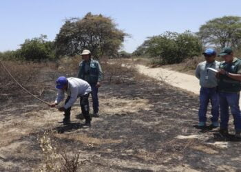Intensifica acciones para prevenir incendios forestales en el sur de La Guajira