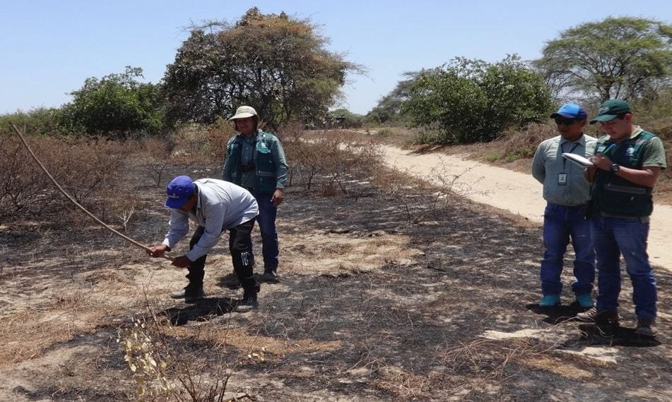Intensifican acciones para la prevención de incendios forestales en La Guajira