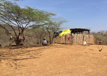 La Guajira, uno de los departamentos con mayor índice de inseguridad alimentaria