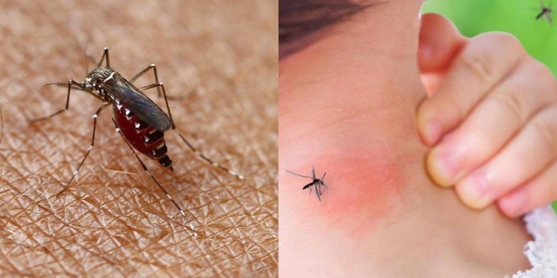 Alertan aumento en casos de dengue en La Guajira y otros departamentos