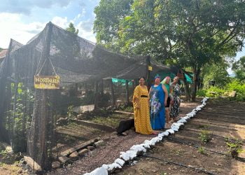 Cancillería invierte $1.787 millones en proyectos sociales y deportivos en La Guajira, Nariño y Vichada