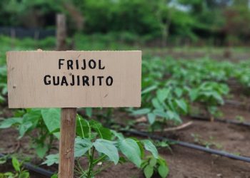 Prorrogan plazo para declarar áreas protegidas para la producción de alimentos en La Guajira