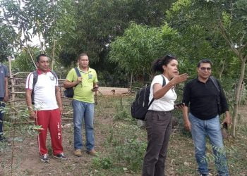 Eco-viveros en colegios de La Guajira: iniciativa para fomentar conciencia ambiental