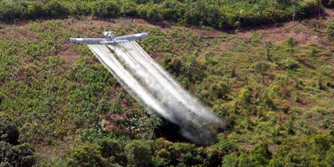 Piden suspender decreto que reanudó aspersiones con glifosato