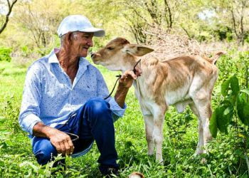 $32.000 millones en proyectos productivos para La Guajira