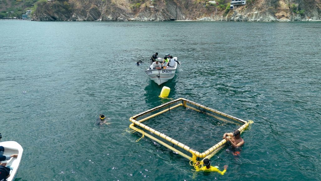 En mar de Taganga instalan primera jaula flotante para el cultivo de peces róbalos
