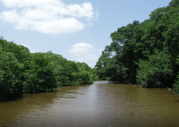 Un avance crucial en la protección del Río Ranchería: declararlo sujeto de derecho