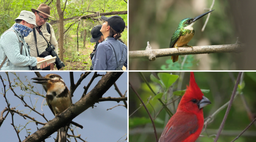 El corredor Wüinn Mana en La Guajira se consolida como un santuario de aves