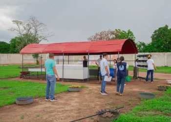 Corpoguajira impulsa la educación ambiental con entrega de eco-viveros en La Guajira