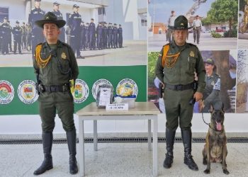 Más de 1000 dosis de cocaína fueron detectados por un perro antinarcótico en un paquete que salió de Maicao