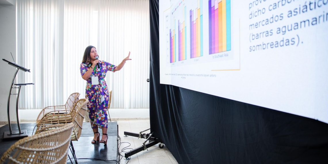 “La Guajira debe ir pensando en la diversificación económica”: viceministra de Minas