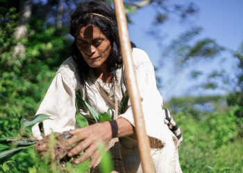 Corpoguajira y comunidad de Tugeka realizan siembra de 300 Árboles en las estribaciones de la Sierra Nevada