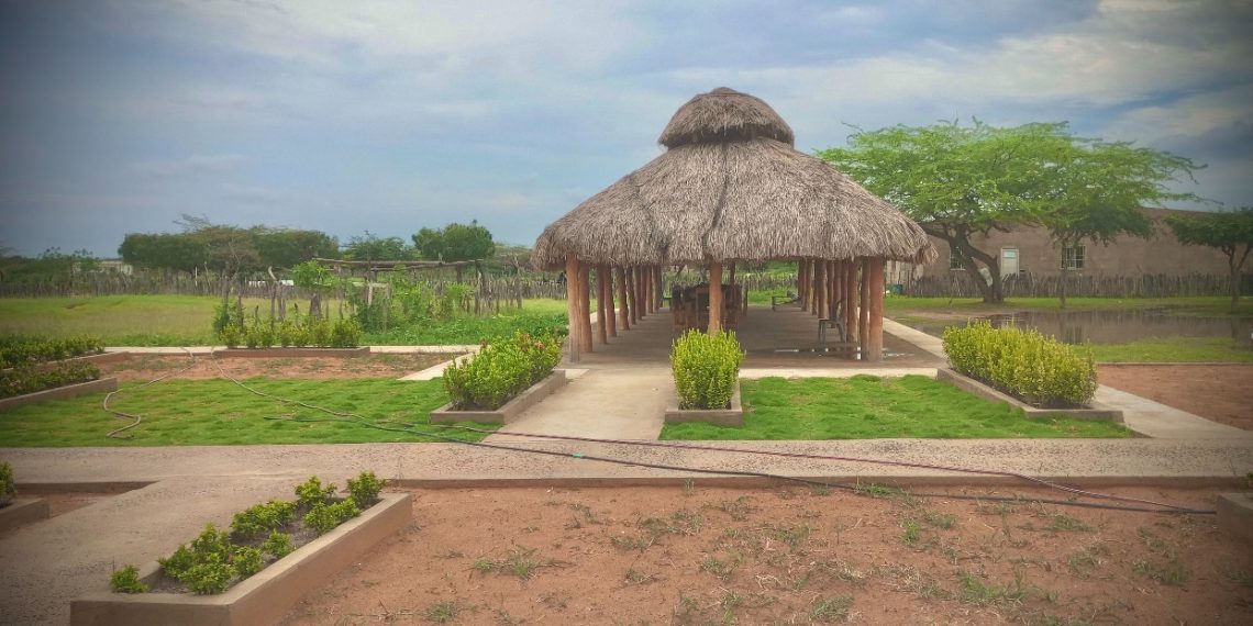Conozca el primer hogar sustituto étnico de La Guajira para proteger a la niñez wayuu