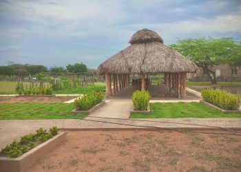 Conozca el primer hogar sustituto étnico de La Guajira para proteger a la niñez wayuu