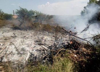 Corpoguajira advierte sobre riesgo de incendios forestales tras detectar 86 puntos de calor en el departamento
