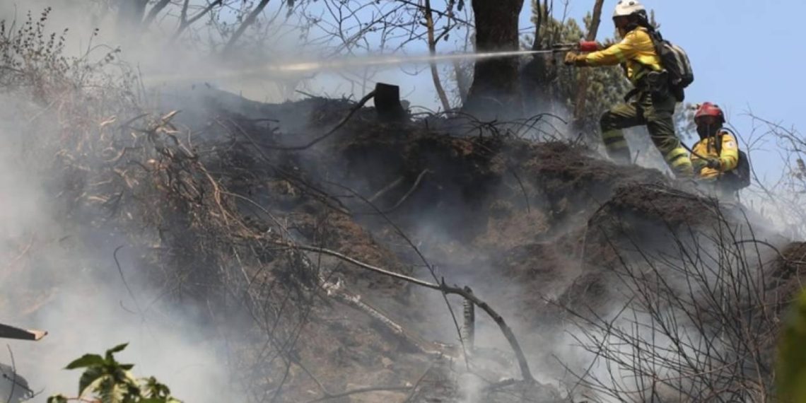 Corpoguajira alerta por intensificación de vientos y riesgo de incendios forestales en La Guajira