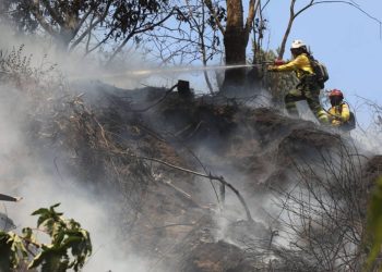 Corpoguajira alerta por intensificación de vientos y riesgo de incendios forestales en La Guajira