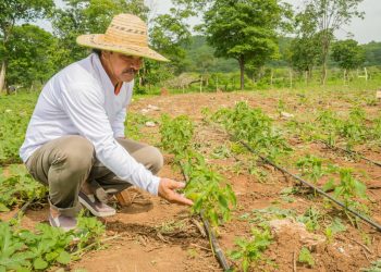 Campesinos e indígenas del Cesar y La Guajira recibirán más de 18.800 millones en activos productivos
