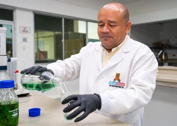 Uniguajira y Uniatlántico obtienen patente por pintura ecológica que combate hongos, bacterias e insectos