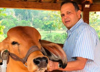 Juez ordena devolver millonario patrimonio del ‘Ñeñe’ Hernández a su familia