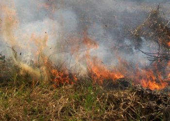 Alerta en La Guajira por alta probabilidad de incendios forestales