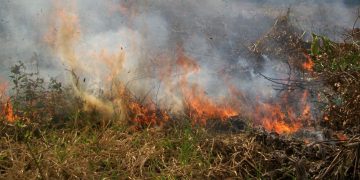 Alerta en La Guajira por alta probabilidad de incendios forestales